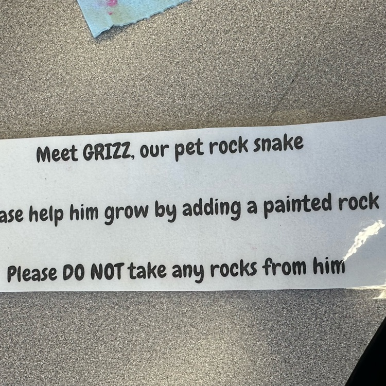 Pet rock Snake 
