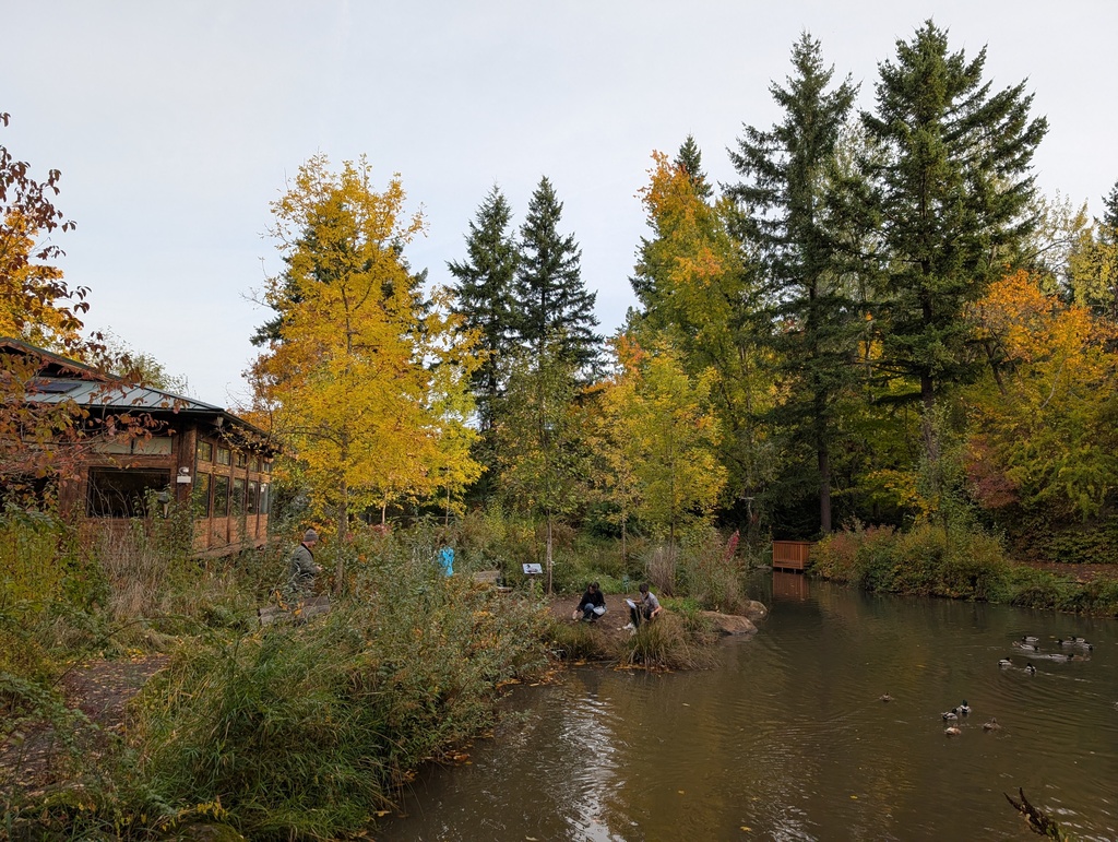 enviromental science