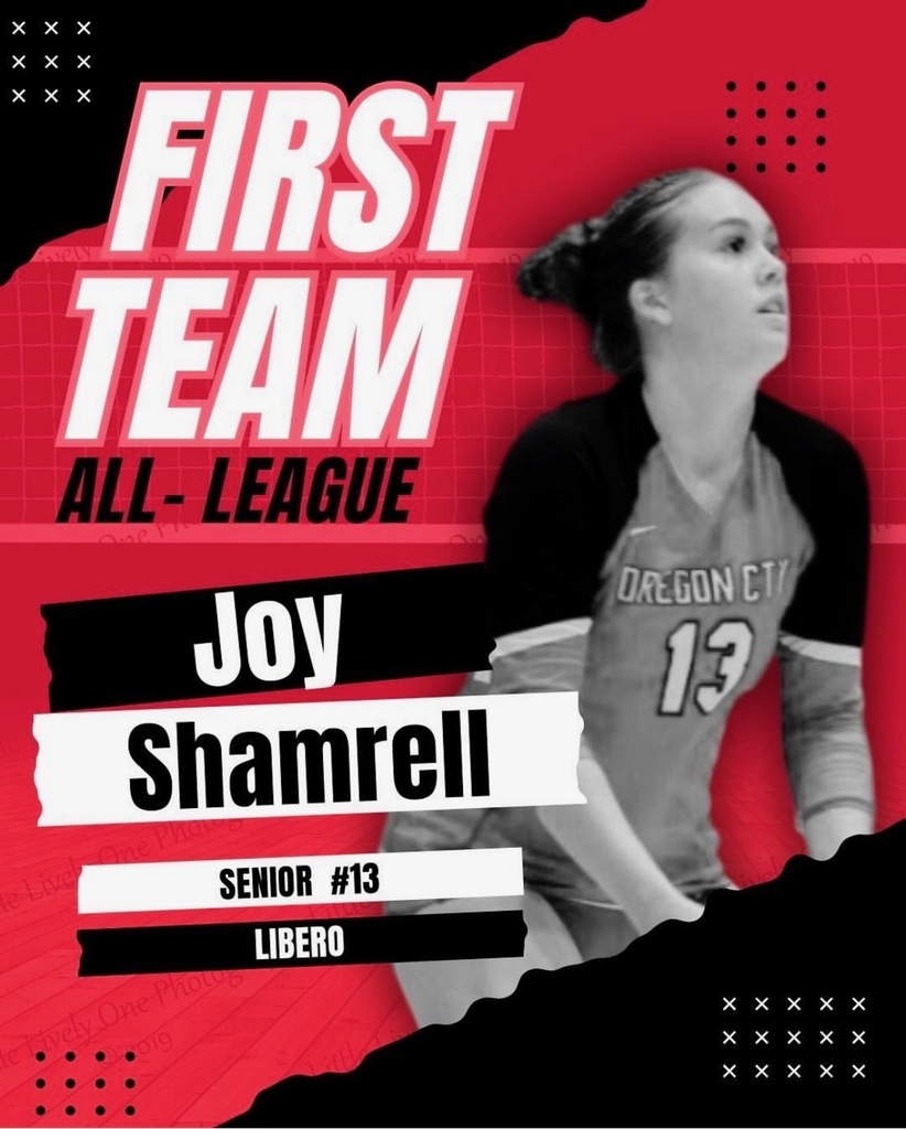 VB All-League