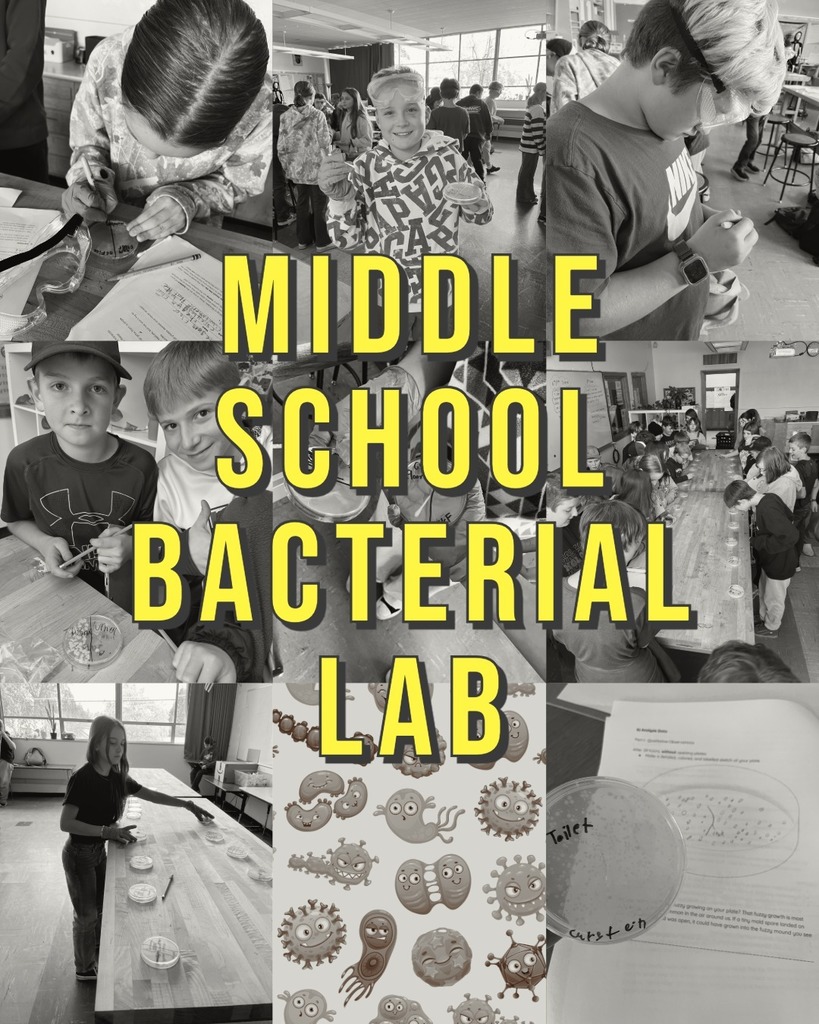 Middle School Bacterial Lab