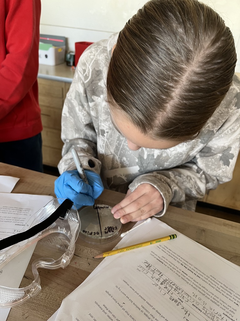 Middle School Bacterial Lab