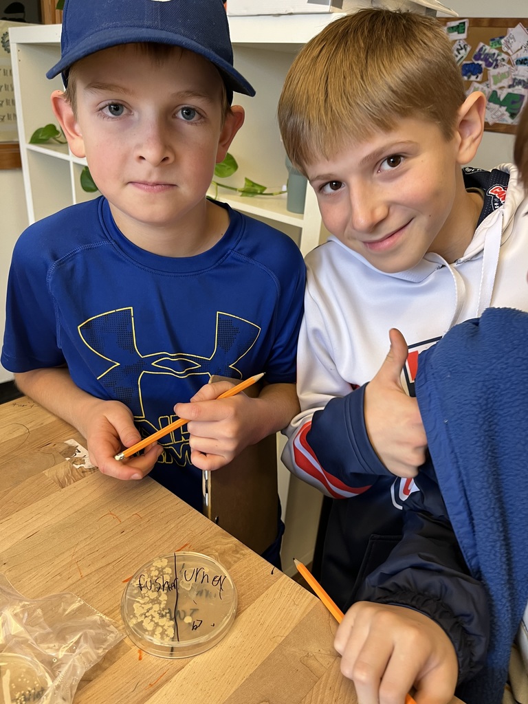 Middle School Bacterial Lab