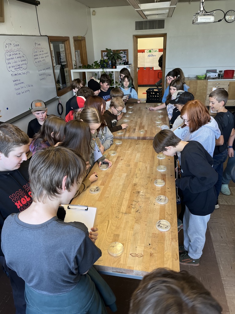 Middle School Bacterial Lab