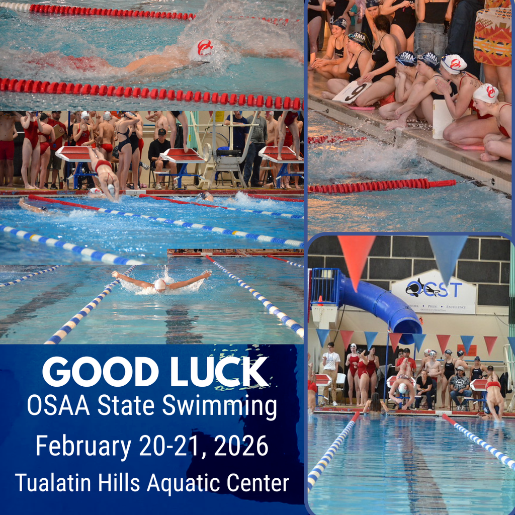 state swimming