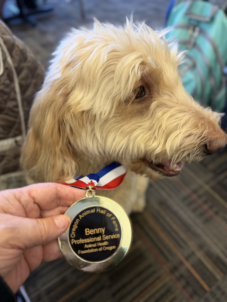 benny receives award