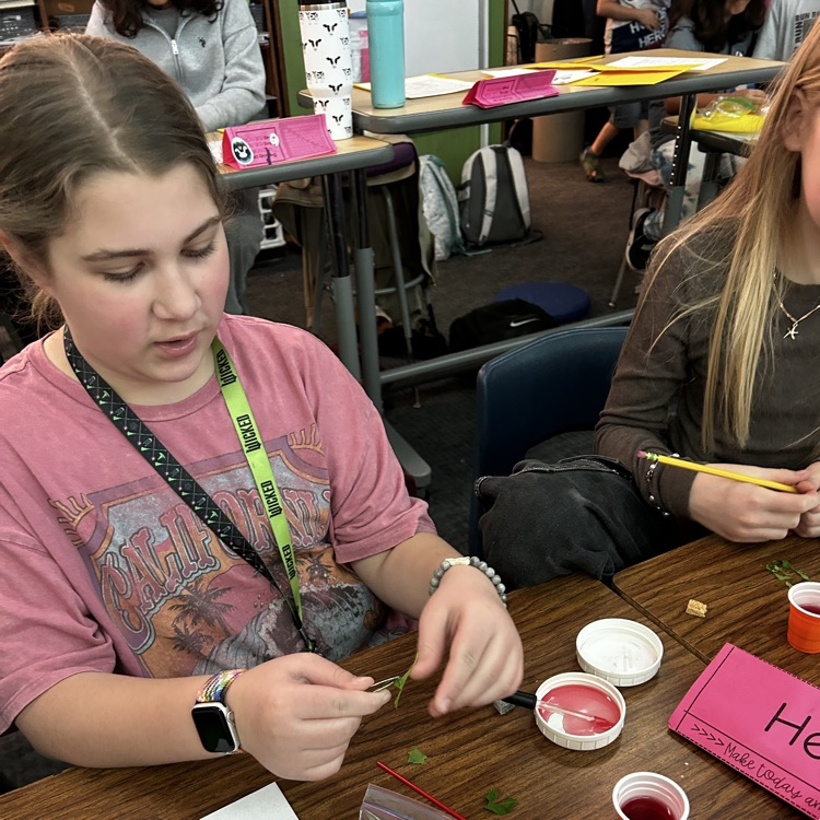 5th graders learn about insects.