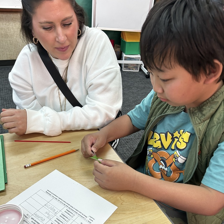 5th graders learn about insects.