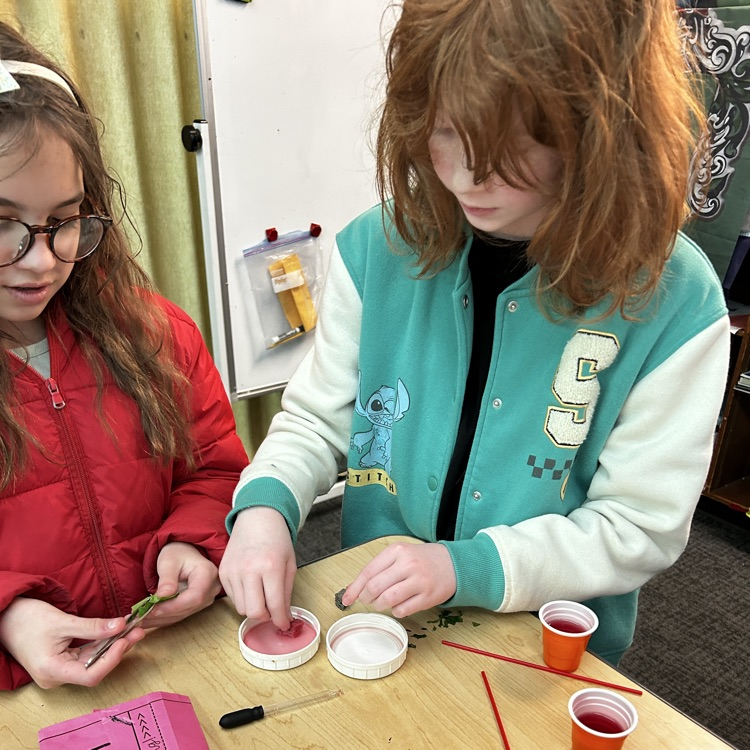 5th graders learn about insects.