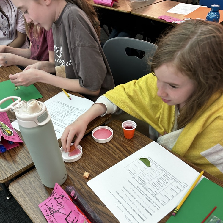 5th graders learn about insects.