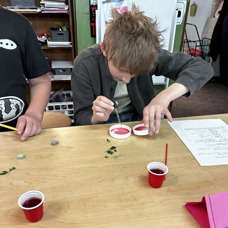 5th graders learn about insects.