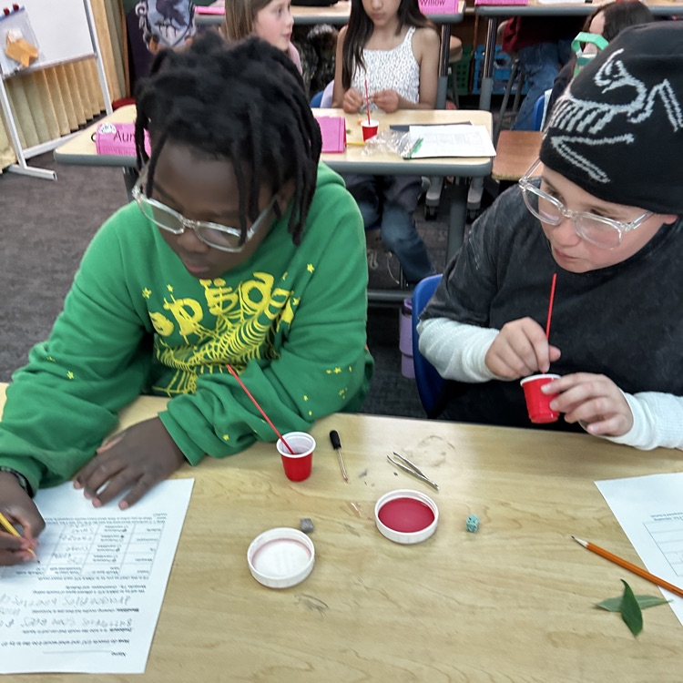 5th graders learn about insects.