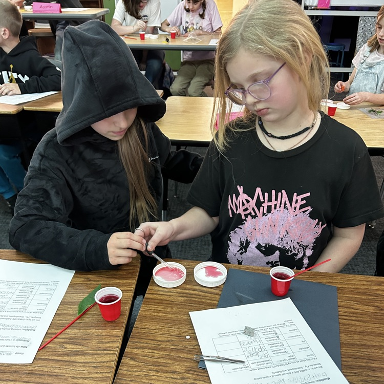 5th graders learn about insects.