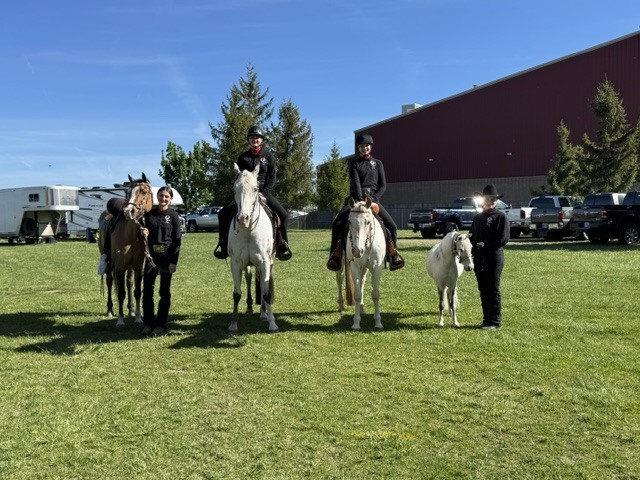 equestrian 3