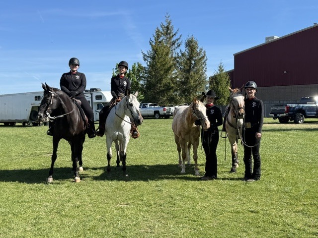 equestrian 5