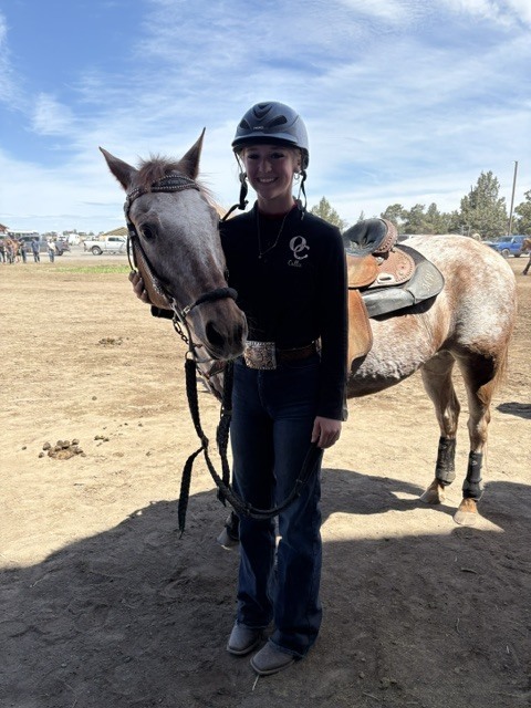 equestrian 2