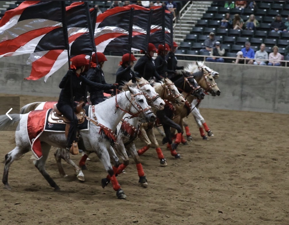 equestrian 1
