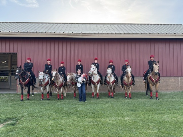 equestrian 1