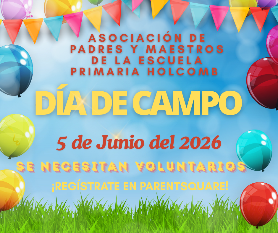 Field Day - Spanish