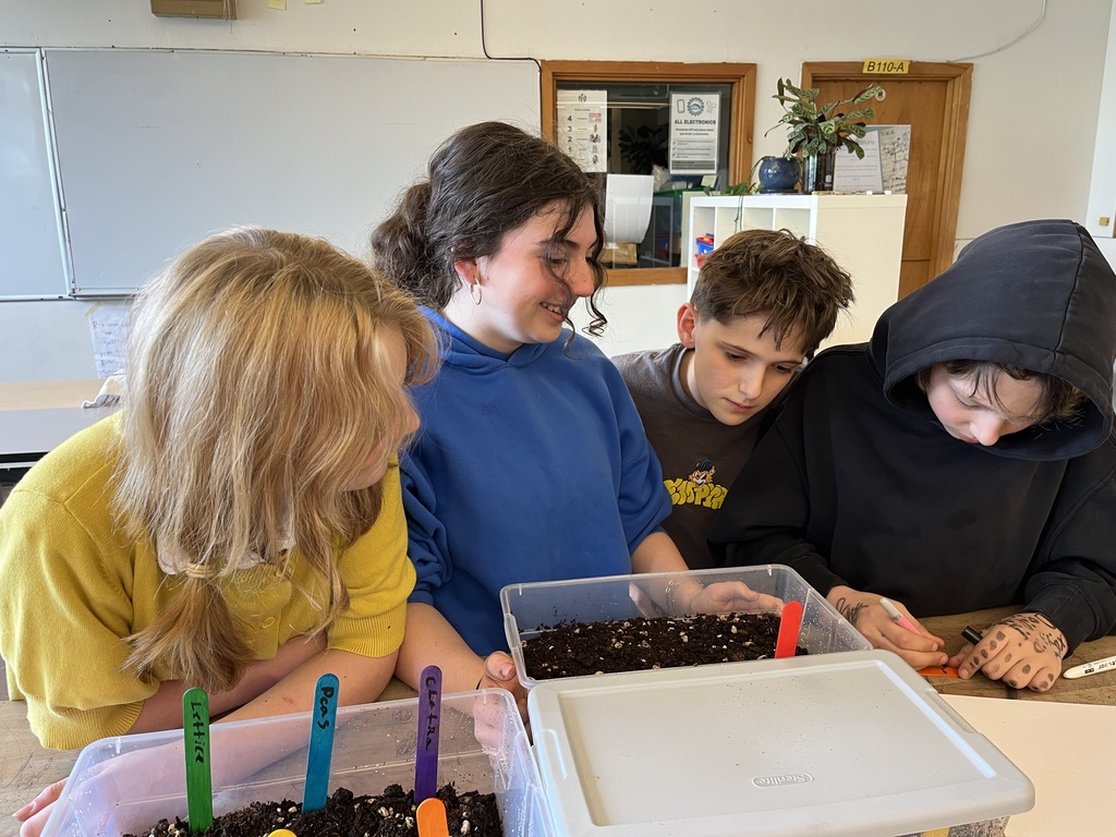 Ms. Stott's  6th and 7th graders grow table top gardens