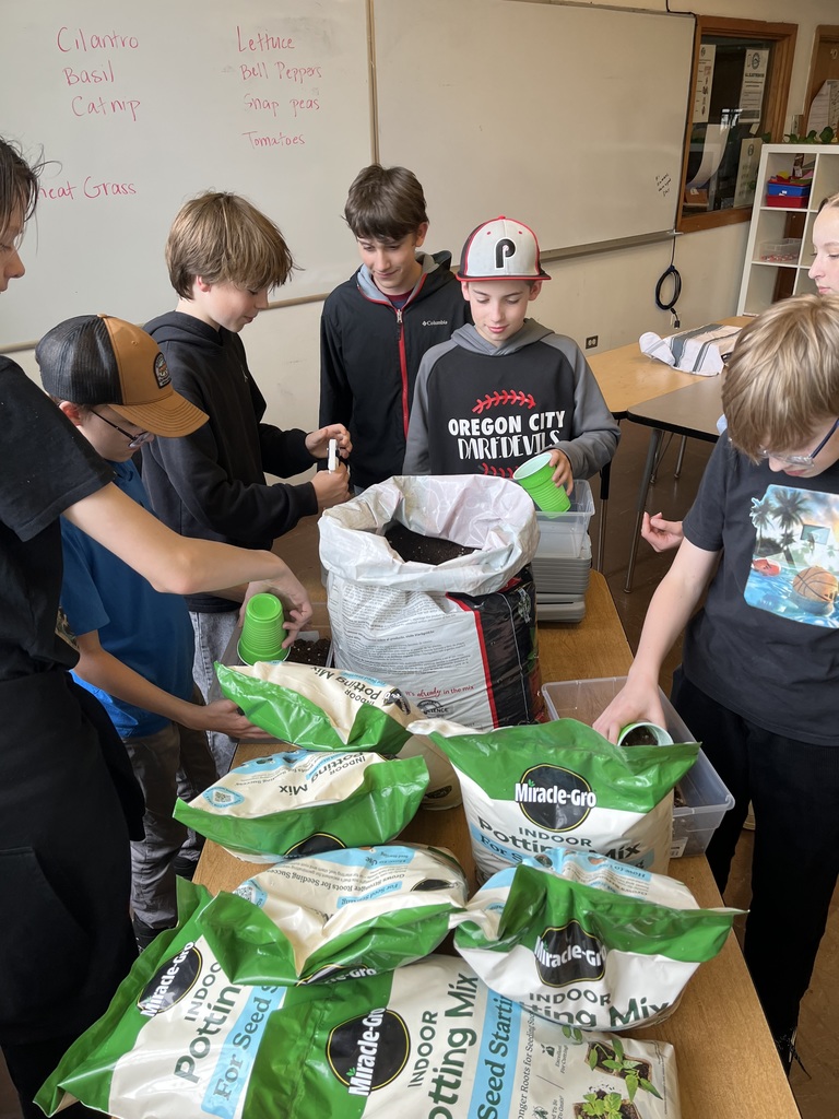 Ms. Stott's  6th and 7th graders grow table top gardens