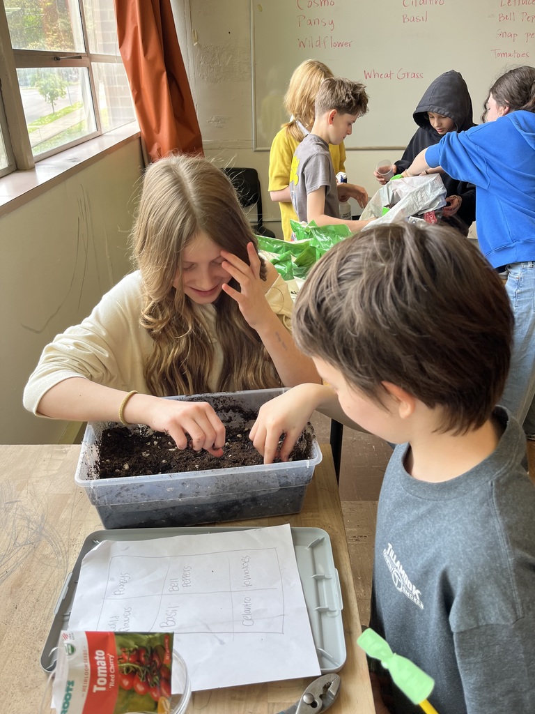 Ms. Stott's  6th and 7th graders grow table top gardens