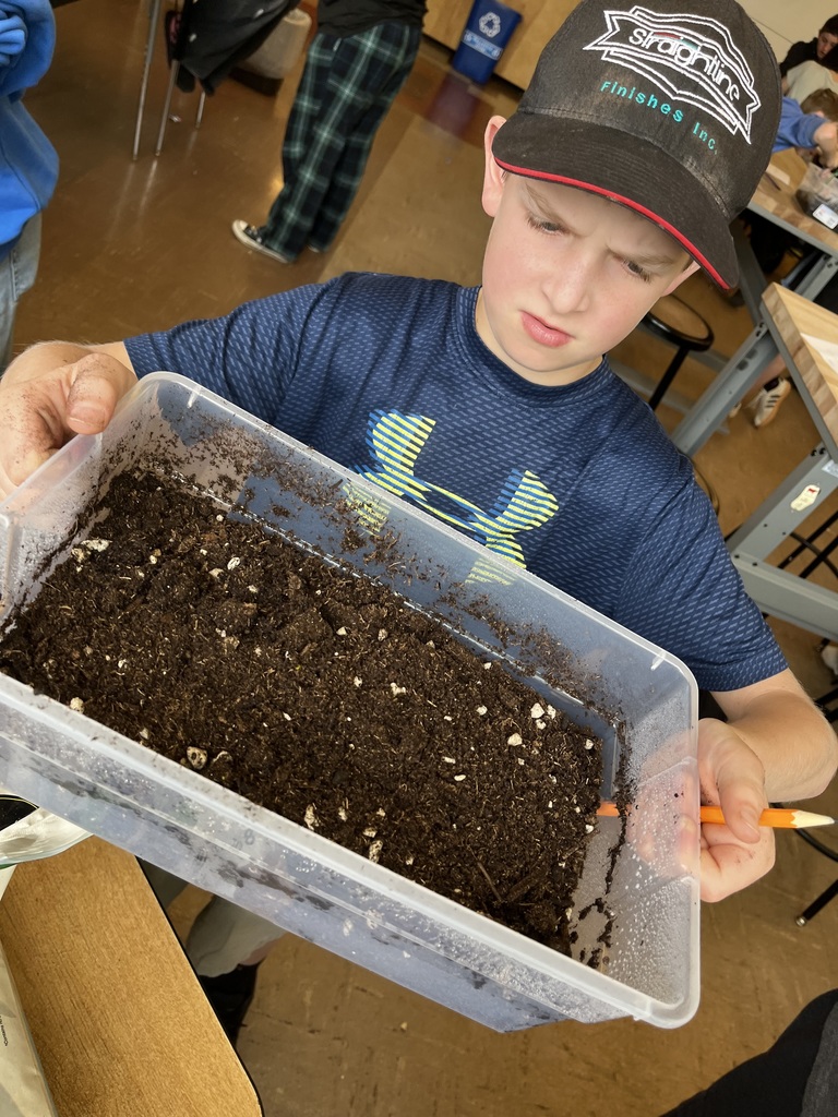 Ms. Stott's  6th and 7th graders grow table top gardens