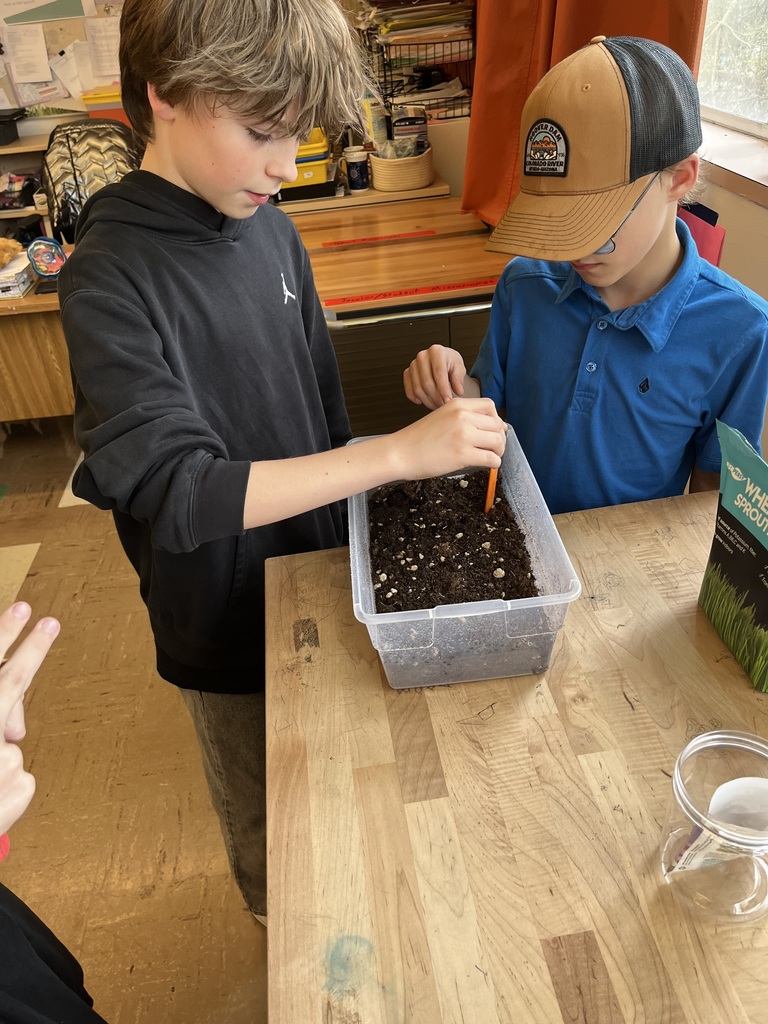 Ms. Stott's  6th and 7th graders grow table top gardens