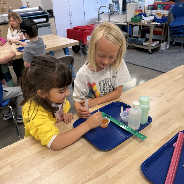Students perform beginner chemistry .
