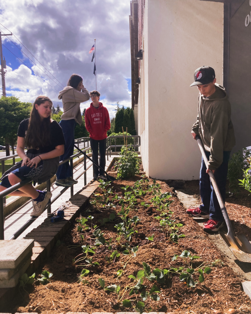 🍓🎓 Grow & Graduate! ☀️ Ms. Treadwell's Agricultural Science students are growing berries in front of the building, and today we're celebrating our graduates! Congratulations, Class of 2026! 🎉