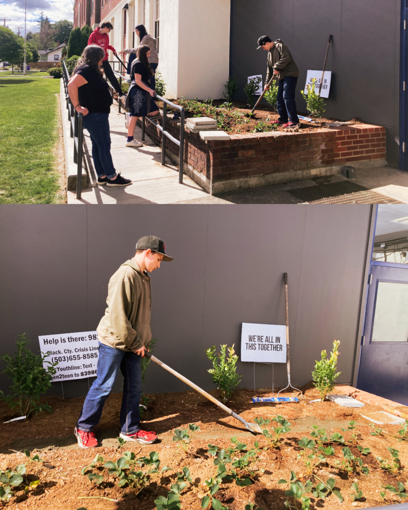 🍓🎓 Grow & Graduate! ☀️ Ms. Treadwell's Agricultural Science students are growing berries in front of the building, and today we're celebrating our graduates! Congratulations, Class of 2026! 🎉