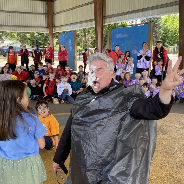 pie in the face 