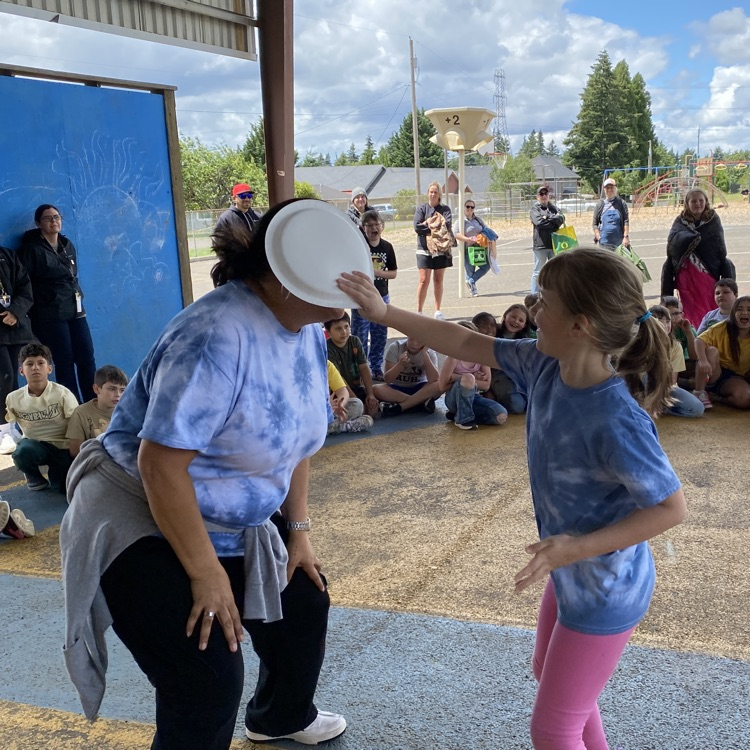 pie in the face 