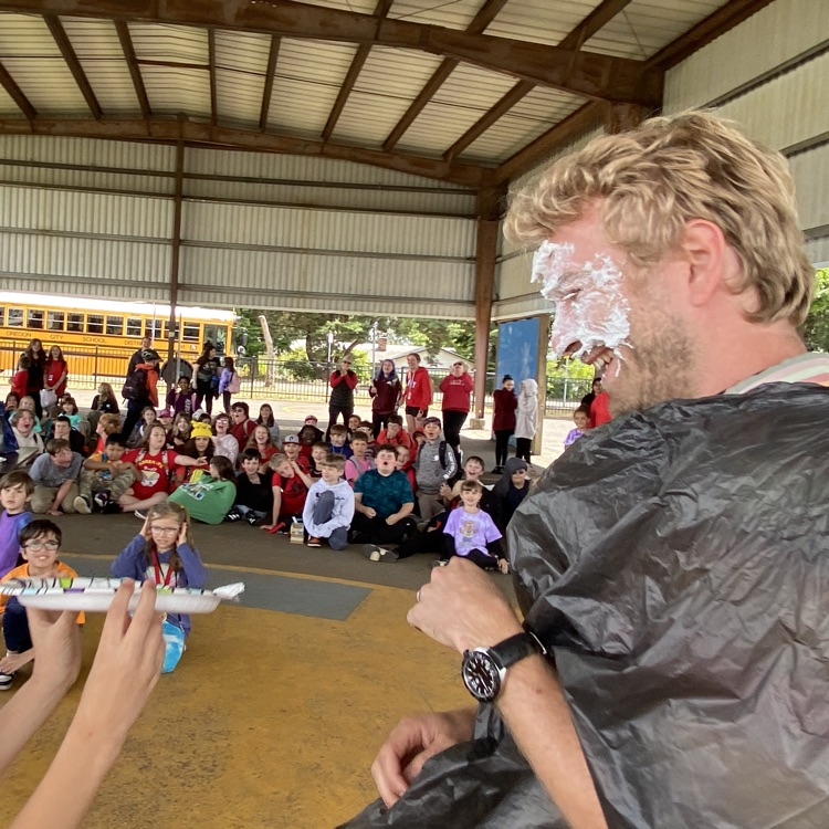 pie in the face 