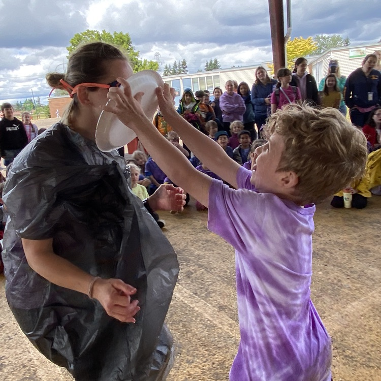 pie in the face 