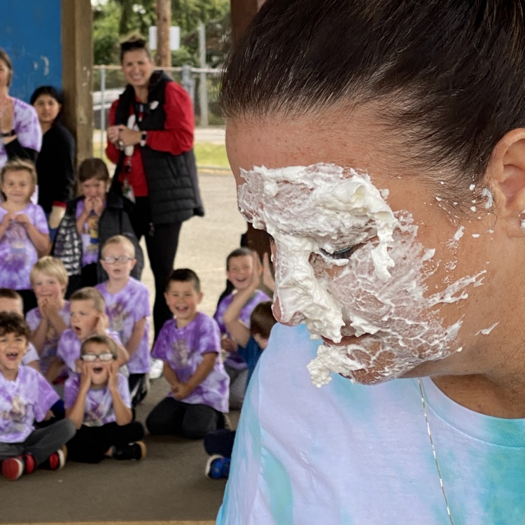 pie in the face 
