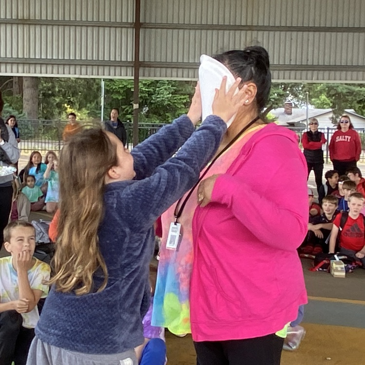 pie in the face 
