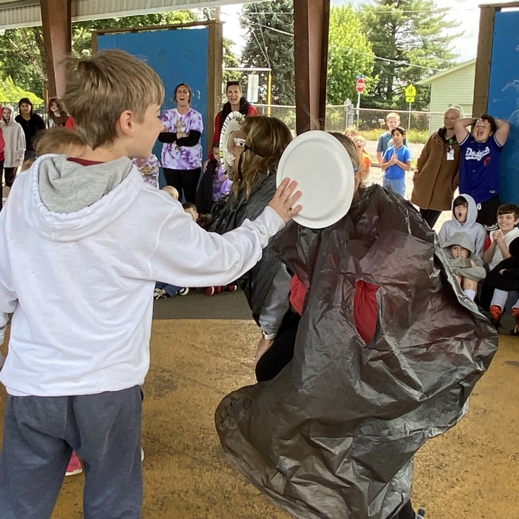 pie in the face 
