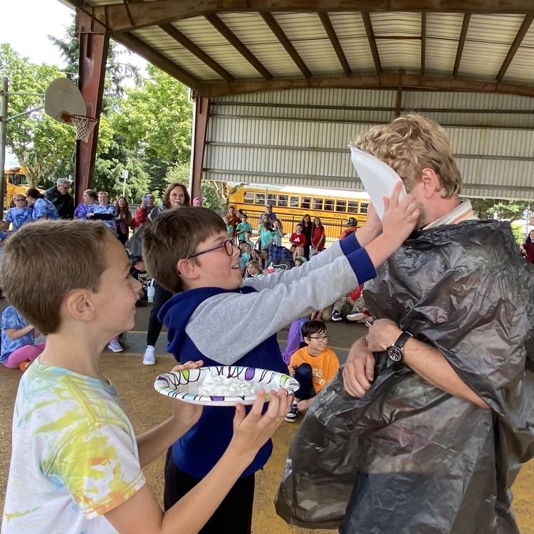 pie in the face 