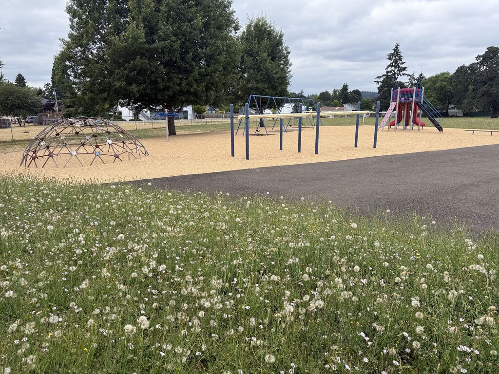 A playground with freshly laid bark chips.