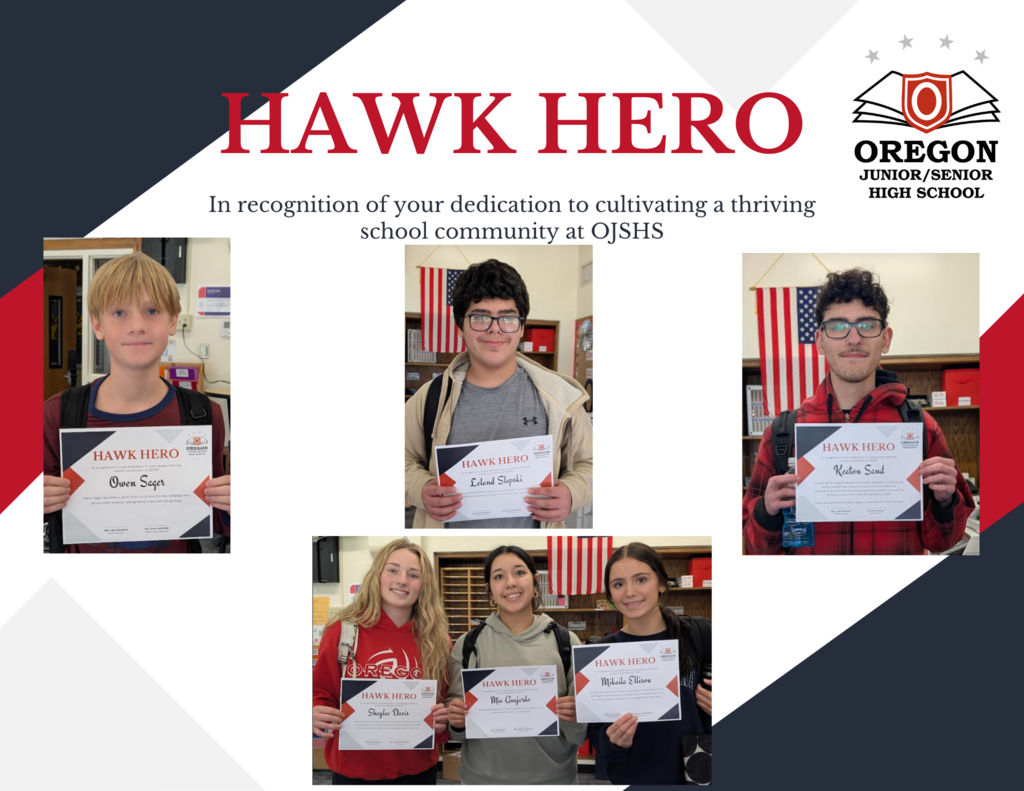 Hawk Hero FB 090825