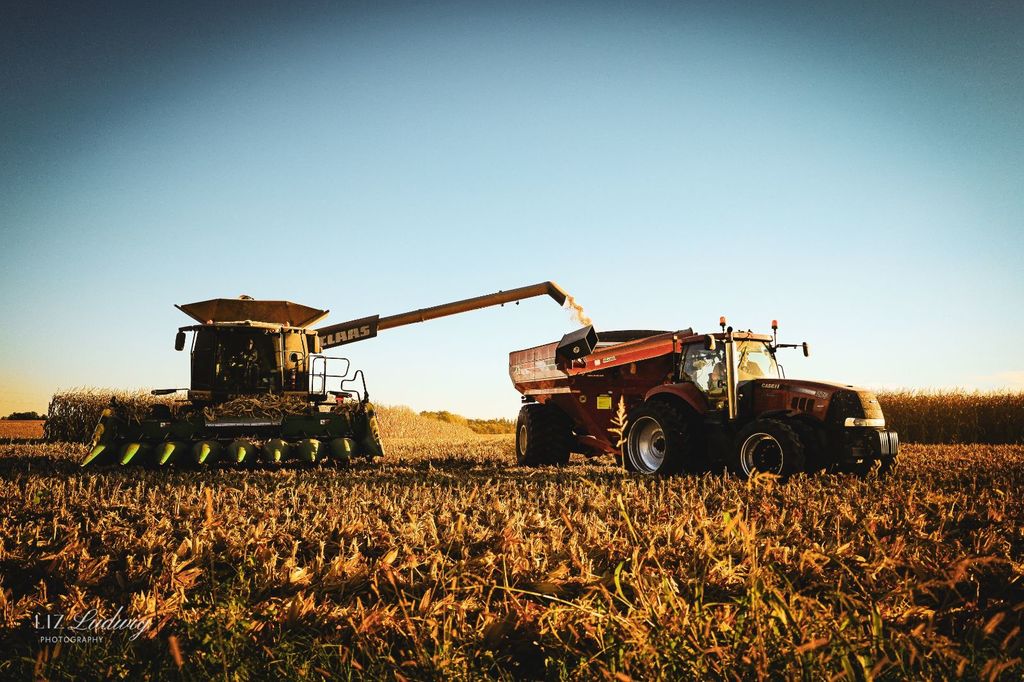 Some of Liz's photography skills from this year.