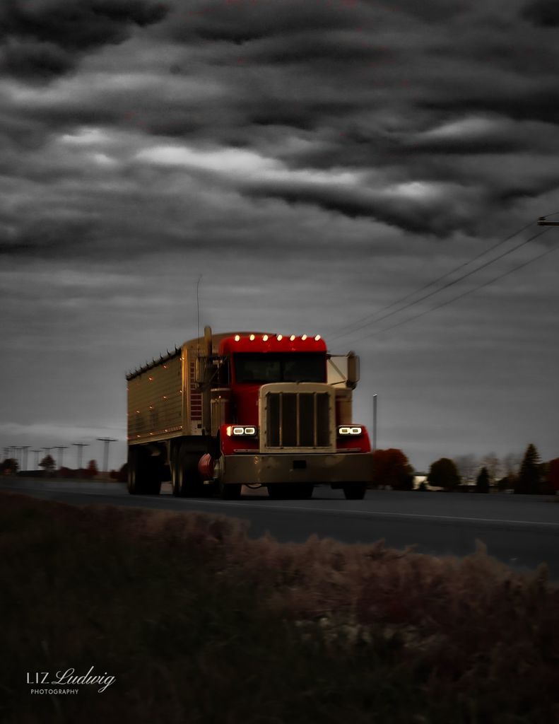 Some of Liz's photography skills from this year.