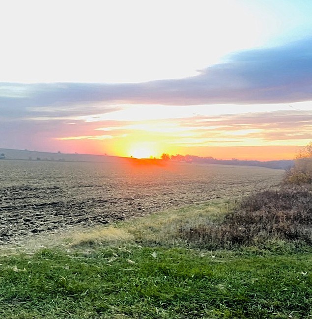 Sunrise of a field