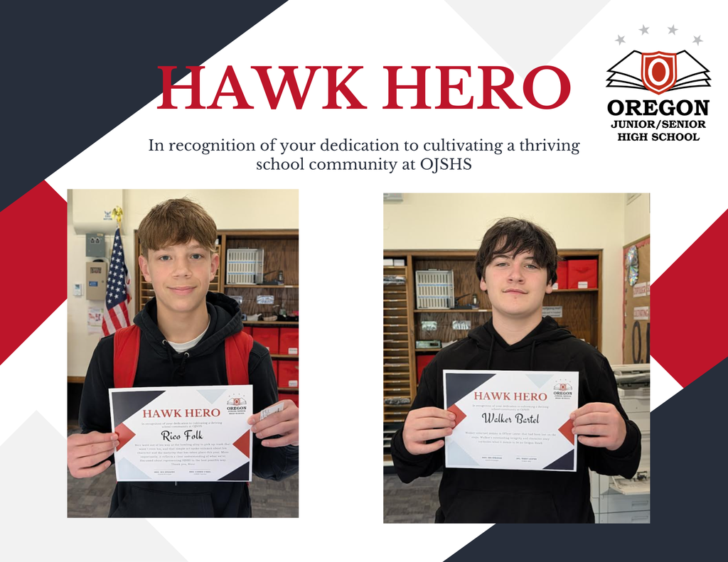 Hawk Hero