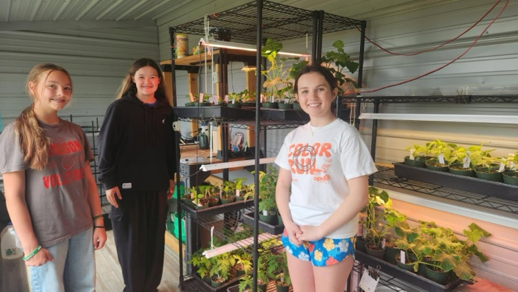 off-grid greenhouse