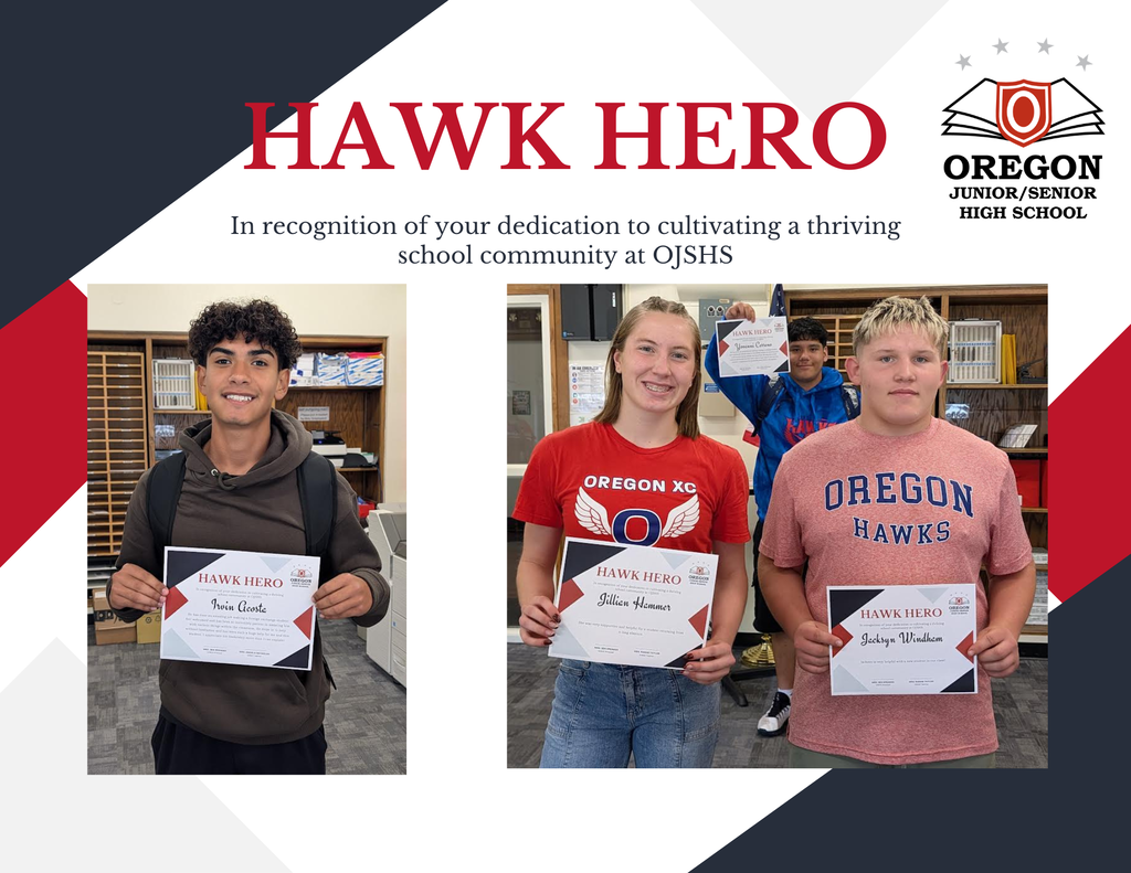 Hawk Hero