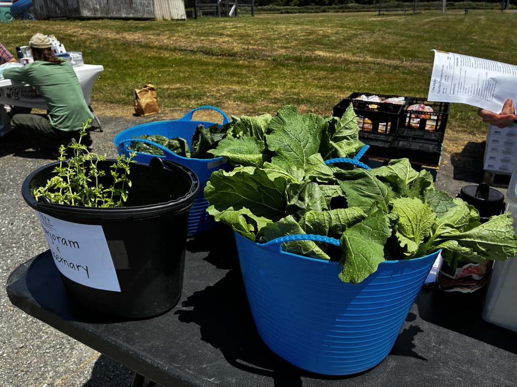 Produce from garden ready to share