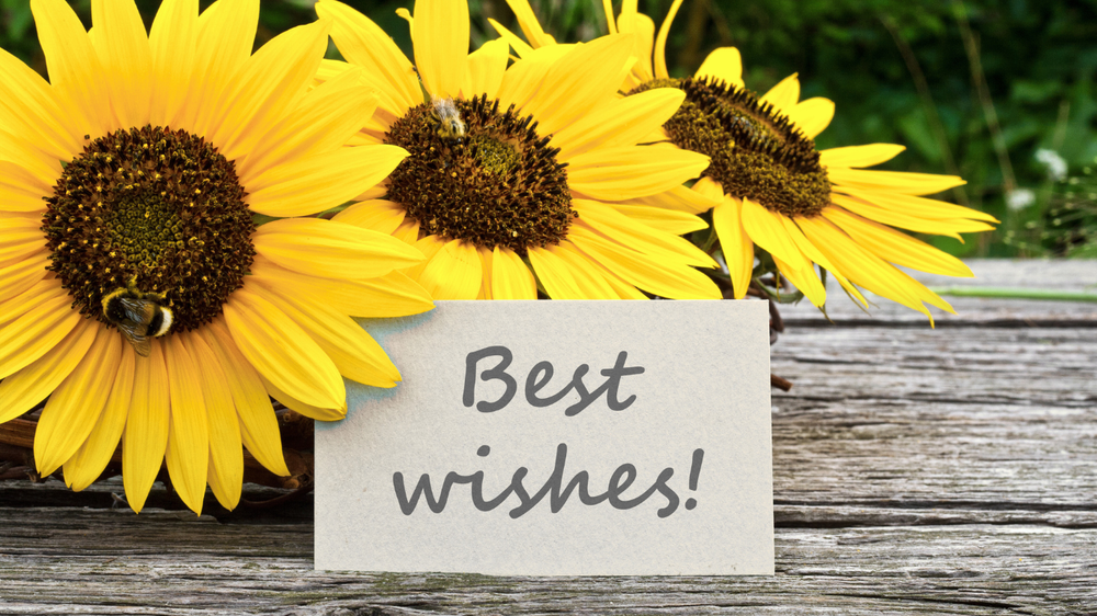 Best Wishes