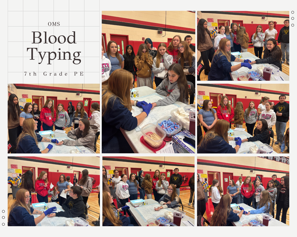 7th grade blood type