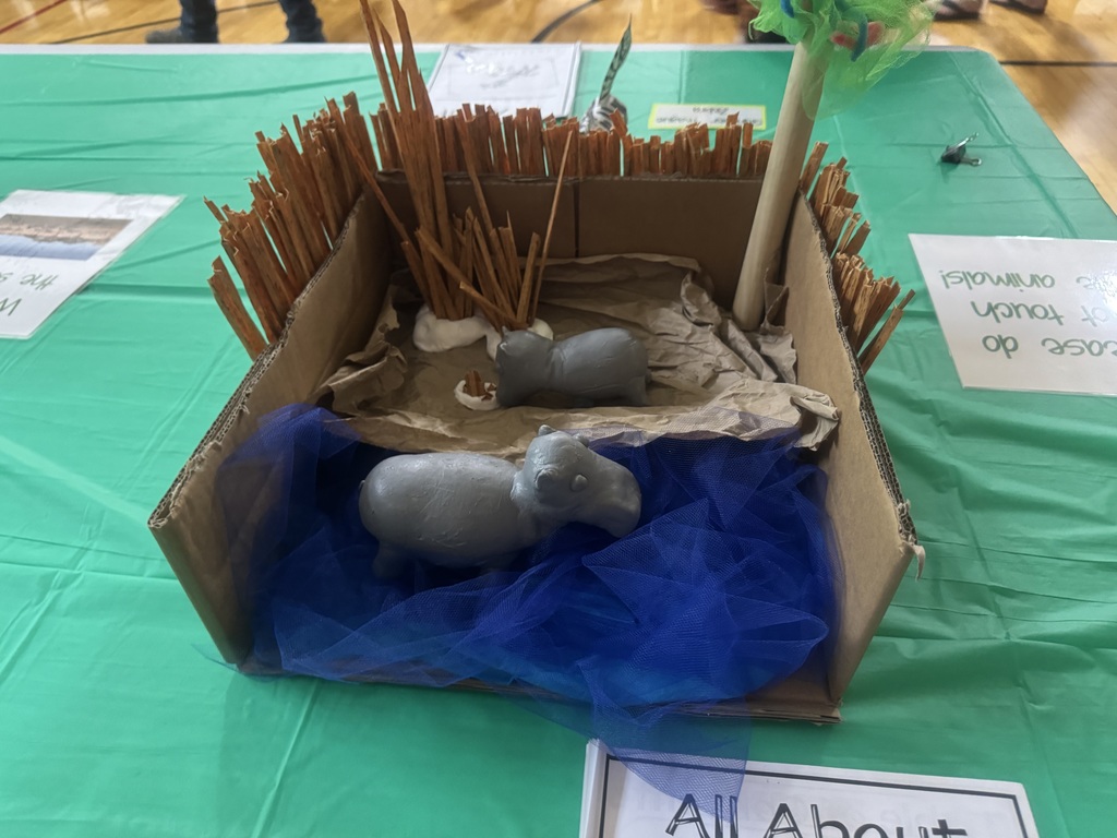 Science Night